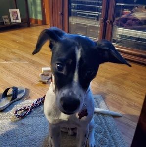 Meet your Posher, Karen